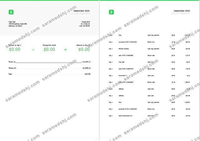 USA Cash App account statement Word and PDF template, 2 pages
